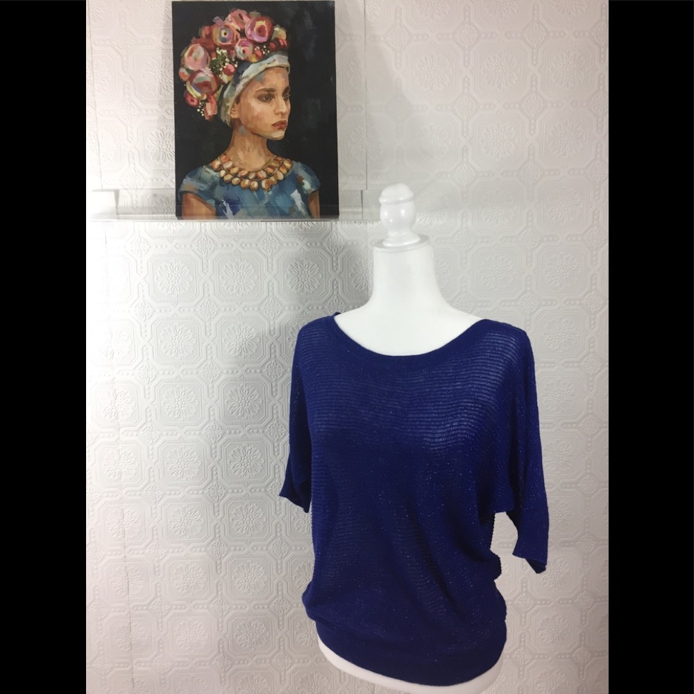 a.n.a Blue Sweater